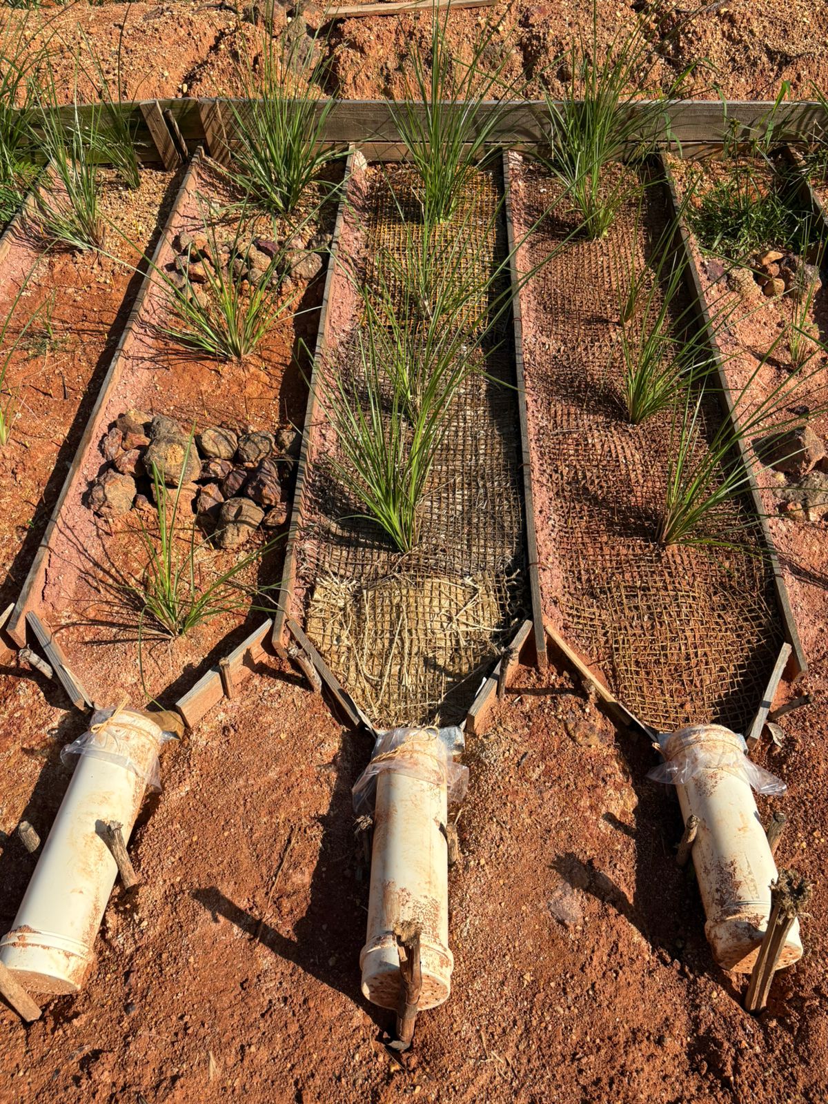 Geotêxteis expostos em talude para controle de erosão no Baixo São Francisco
